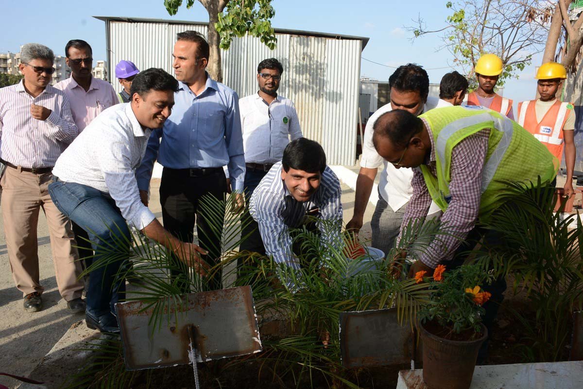 Tree Plantation Drive 9